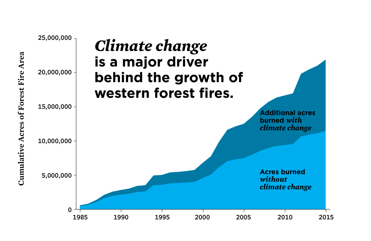 Wildfires climate burned bolsters thousands kilometers studied